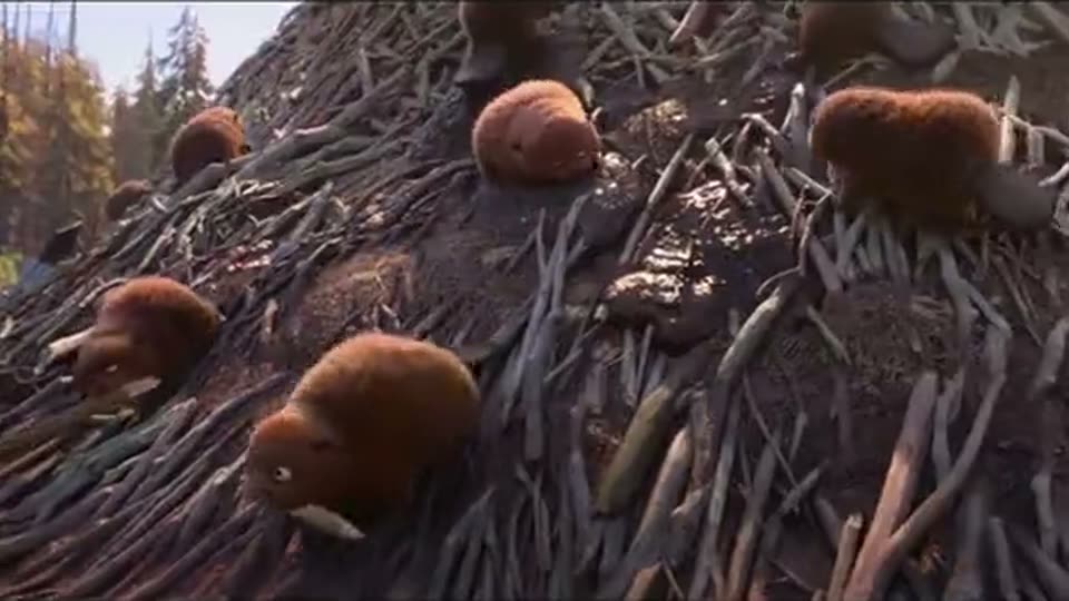 Image de la scène « Jumpers »