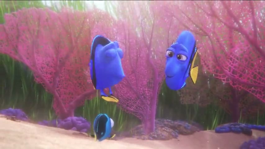 Image de la scène « Le Monde de Dory »
