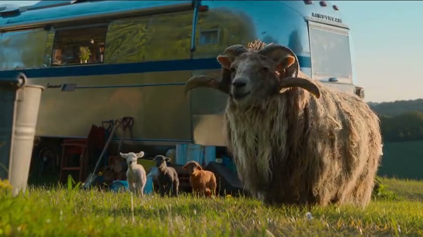 Image de la scène « Les Moutons détectives »